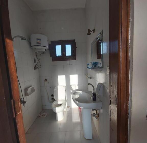 اتاق استاندارد, Oasis Fighting Kangaroo