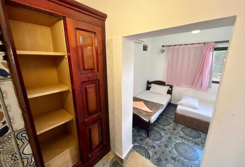 اتاق استاندارد سه نفره, Oasis Fighting Kangaroo