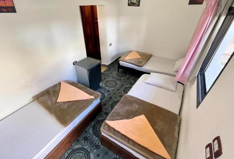 اتاق استاندارد سه نفره, Oasis Fighting Kangaroo