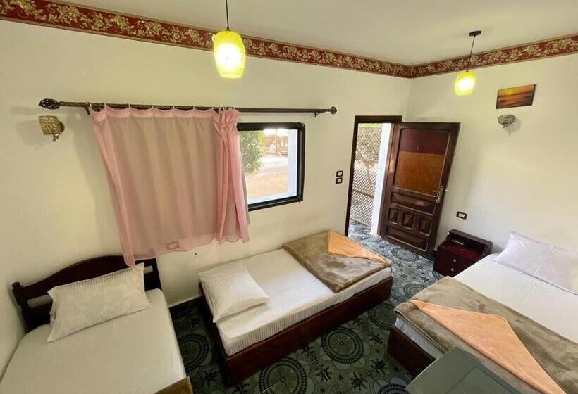 اتاق استاندارد سه نفره, Oasis Fighting Kangaroo