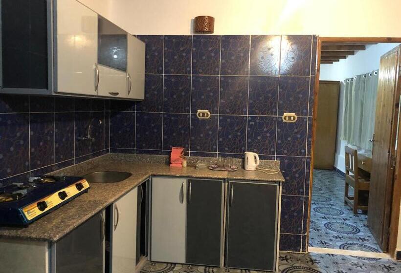 استودیو خانوادگی, Oasis Fighting Kangaroo