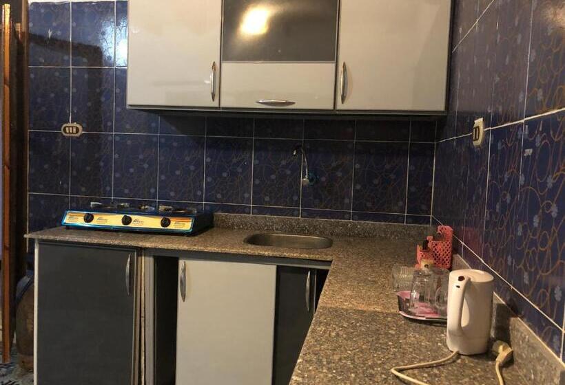 استودیو خانوادگی, Oasis Fighting Kangaroo