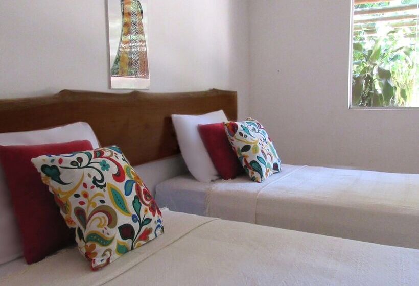 Quarto Triplo Estandar, Sol Do Muta