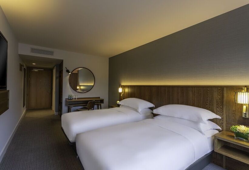 标准间, Hyatt Centric The Liberties Dublin