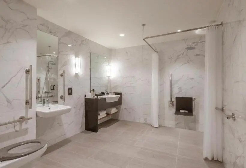 اتاق لوکس با تخت بزرگ, Hyatt Centric The Liberties Dublin