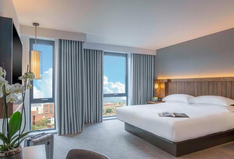 스탠다드 룸 킹사이즈 침대, Hyatt Centric The Liberties Dublin