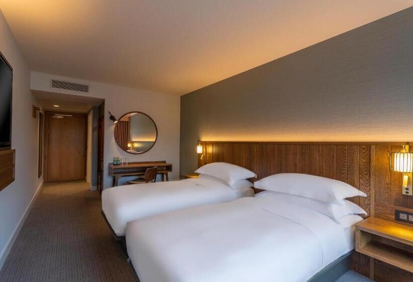 标准间, Hyatt Centric The Liberties Dublin