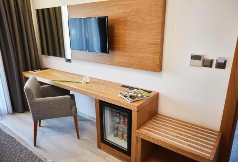 Standaardkamer met Uitzicht op het Zwembad, Ruwais