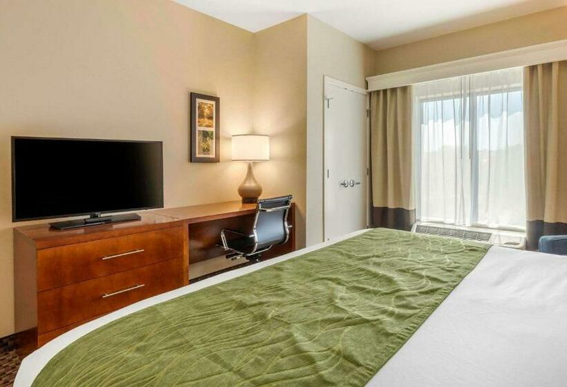 キングサイズベッドのスタンダードルーム, Comfort Inn & Suites