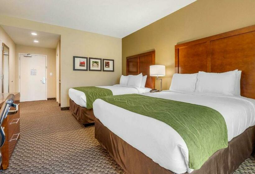 スタンダードルーム, Comfort Inn & Suites