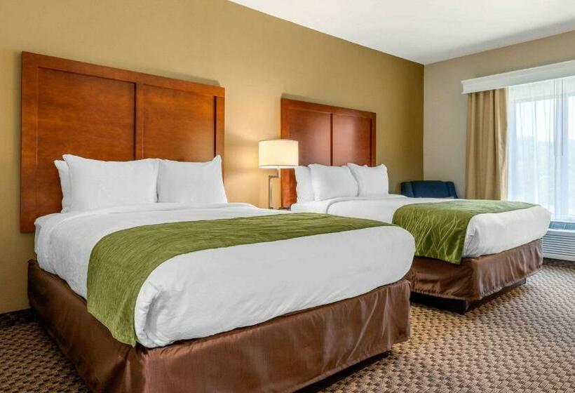 身障者適用スタンダードルーム, Comfort Inn & Suites