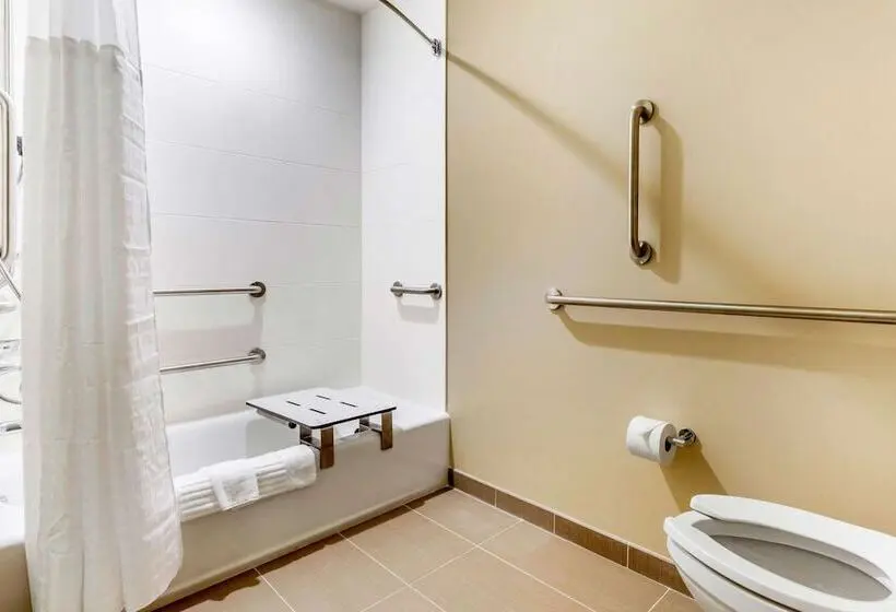 身障者適用スイートルーム, Comfort Inn & Suites Florence Center Area
