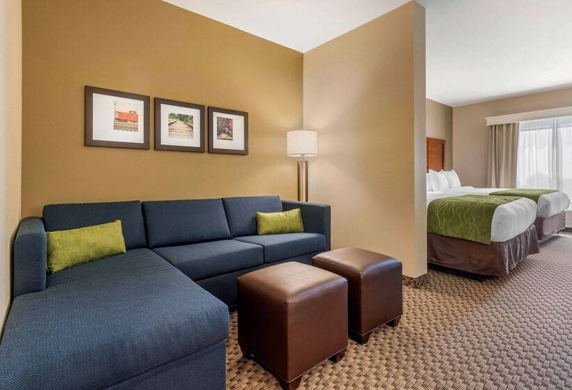 身障者適用スイートルーム, Comfort Inn & Suites