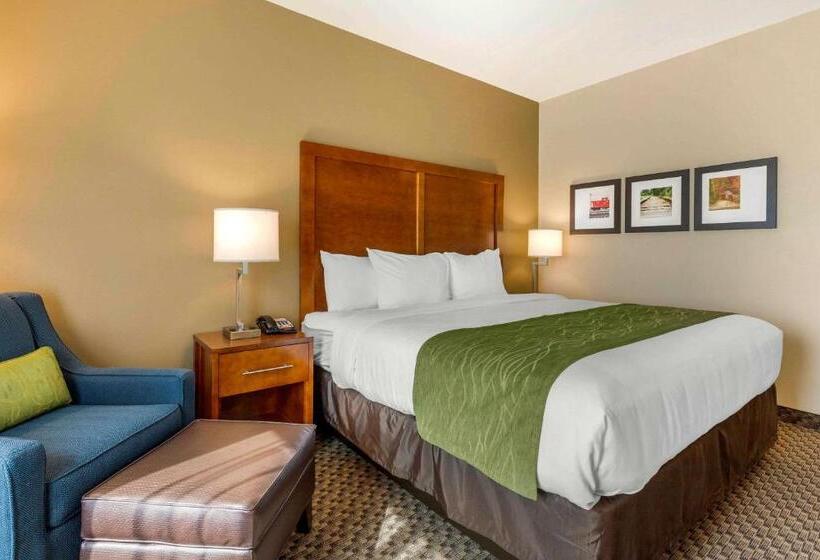 キングサイズベッドのスタンダードルーム, Comfort Inn & Suites