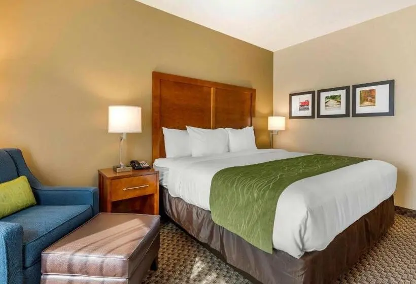 キングサイズベッドのスタンダードルーム, Comfort Inn & Suites Florence Center Area