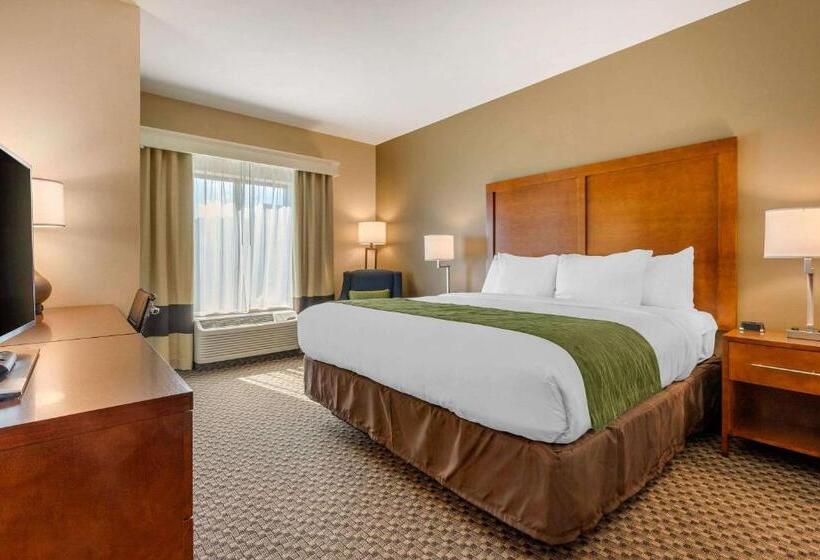 キングサイズベッドのスタンダードルーム, Comfort Inn & Suites