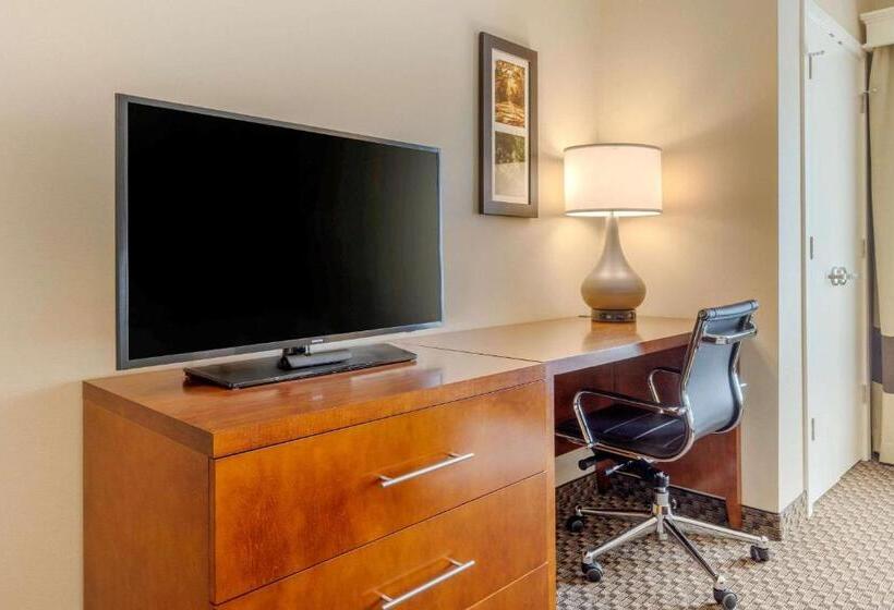 キングサイズベッドのスタンダードルーム, Comfort Inn & Suites
