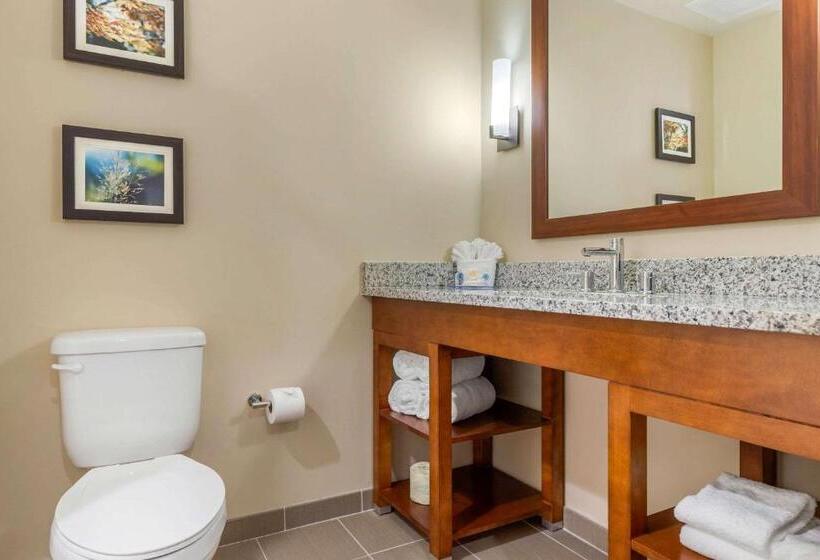 スタンダードルーム, Comfort Inn & Suites