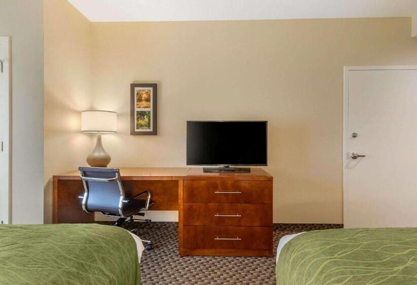 スタンダードルーム, Comfort Inn & Suites