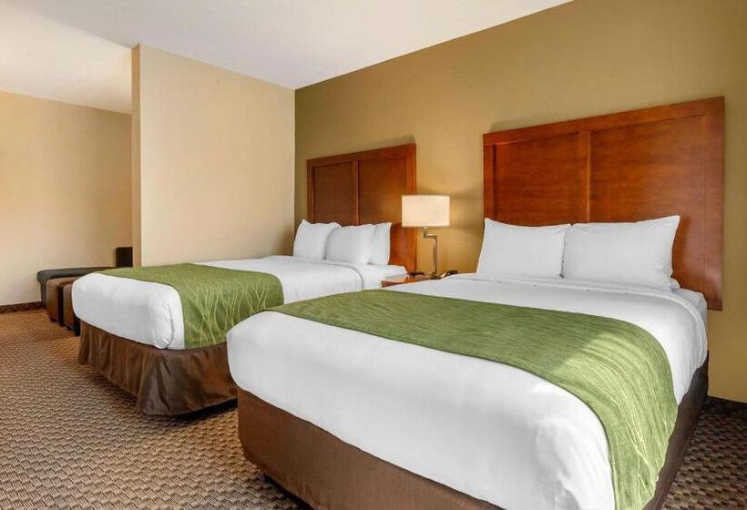 スイート, Comfort Inn & Suites