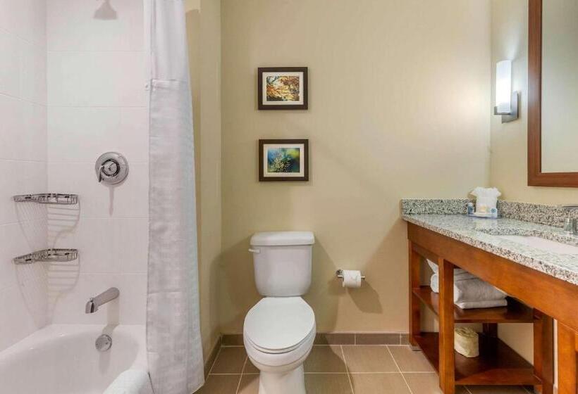 スイート, Comfort Inn & Suites