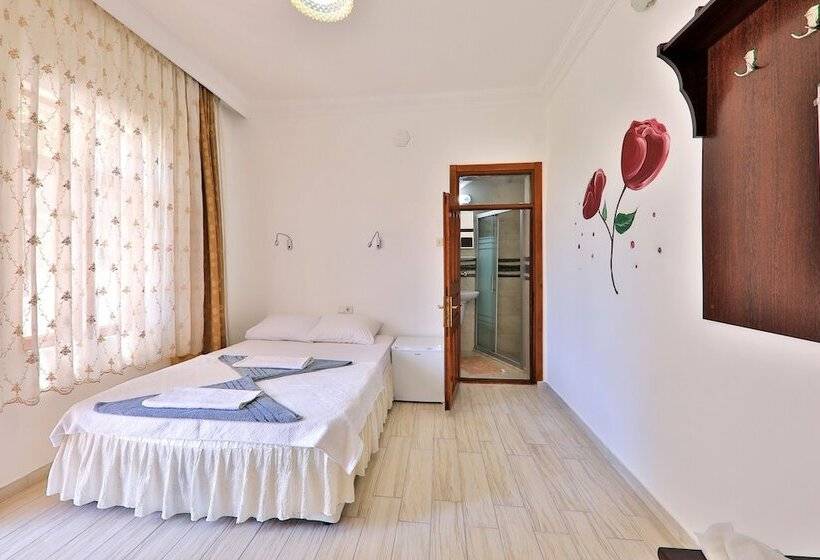 Номер Стандарт, Santosa Pension