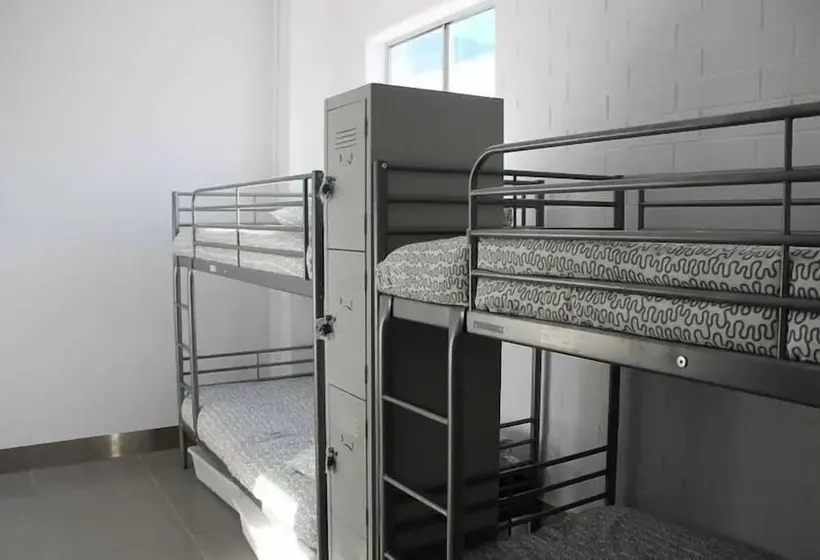 تختخواب در اتاق مشترک, Perth City Backpackers Hostel   Note   Valid Passport Required To Check In