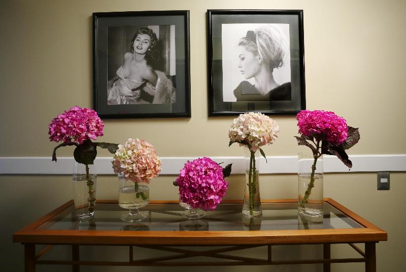 سوییت اجرایی, Radisson Plaza Del Bosque