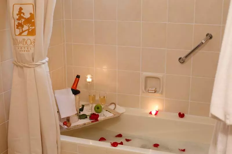 سوییت اجرایی, Radisson  Plaza Del Bosque