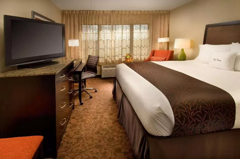 سوییت, Radisson  Plaza Del Bosque