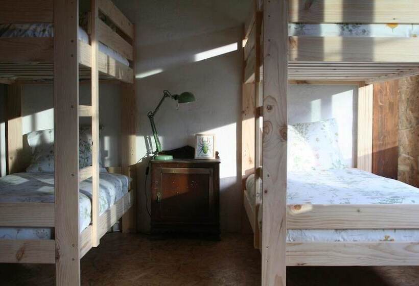 Bed in Shared Room with Shared Bathroom, Albergue Les Xendes. Parque De Redes