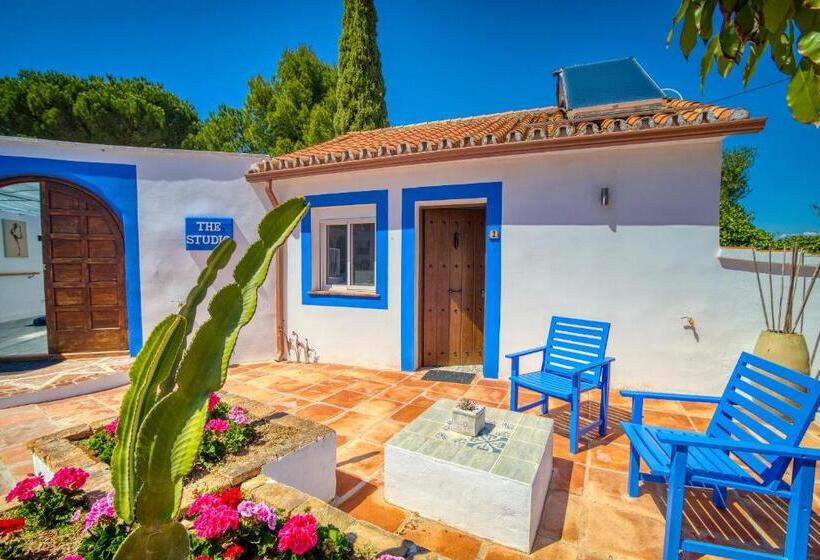 اتاق سوپریور با تخت بزرگ, The Palms Boutique Resort Málaga   Adults Only