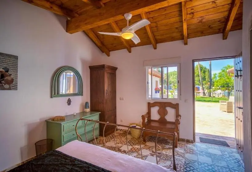 キングサイズベッドのデラックスルーム, The Palms Boutique Resort Málaga Adults Only
