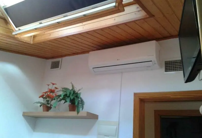 اتاق استاندارد یک نفره, Hostal Arneva Orihuela