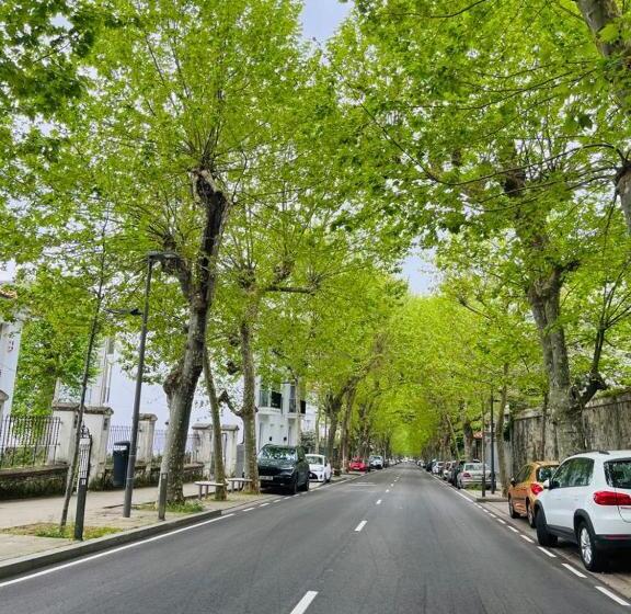 标准间内部标间, Royal Suite Santander