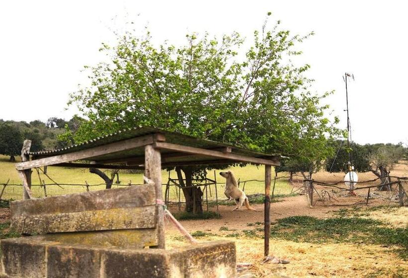 דירת פנטהאוז 1 חדרי שינה, Finca Hotel Ses Cases Noves