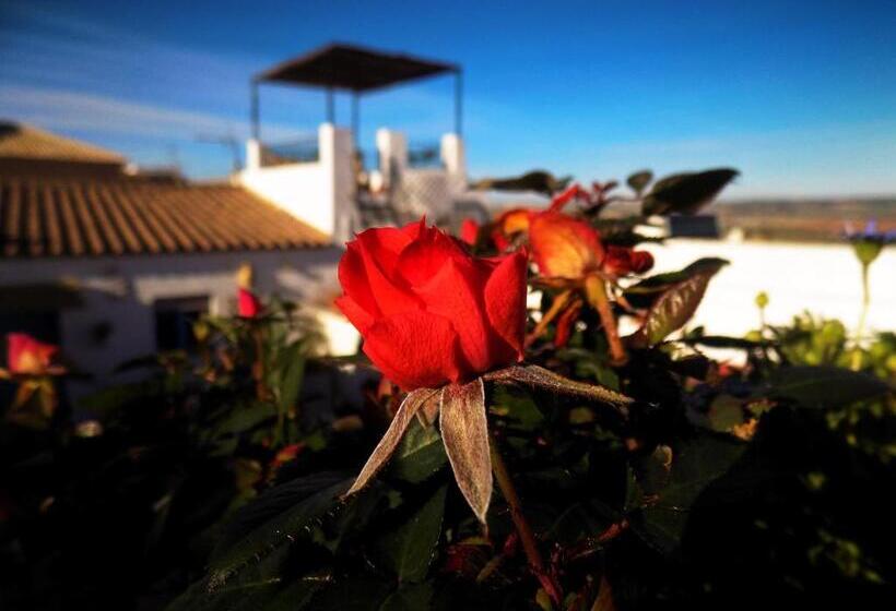 带露台两卧公寓, Casa Campana