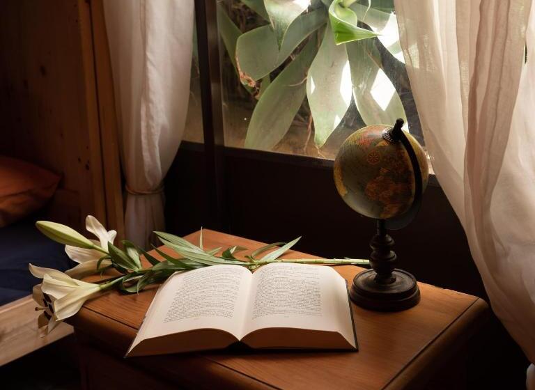 공동 객실, Los Amigos Nest Hostel