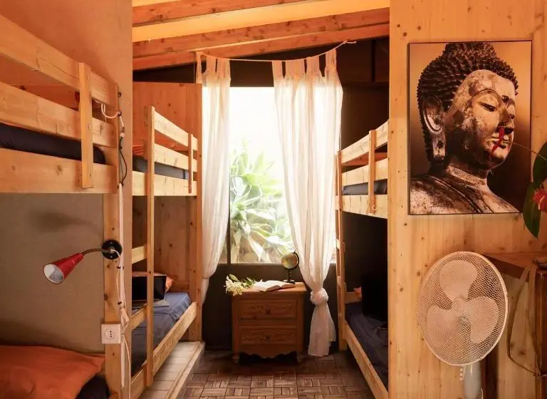 تختخواب در اتاق مشترک, Los Amigos Nest Hostel