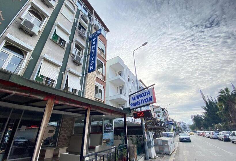 اتاق استاندارد, Mimoza Pansiyon