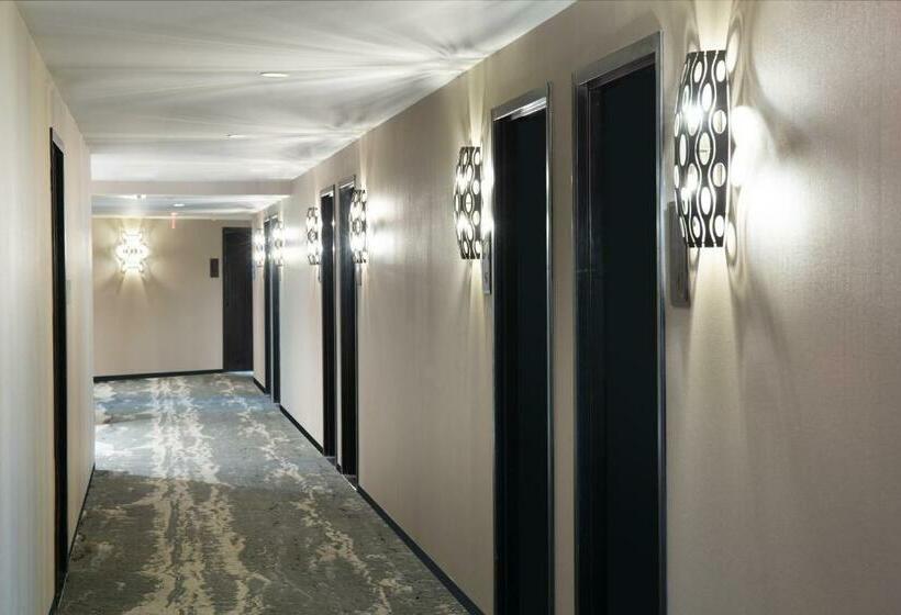 디럭스 룸, The Delaney