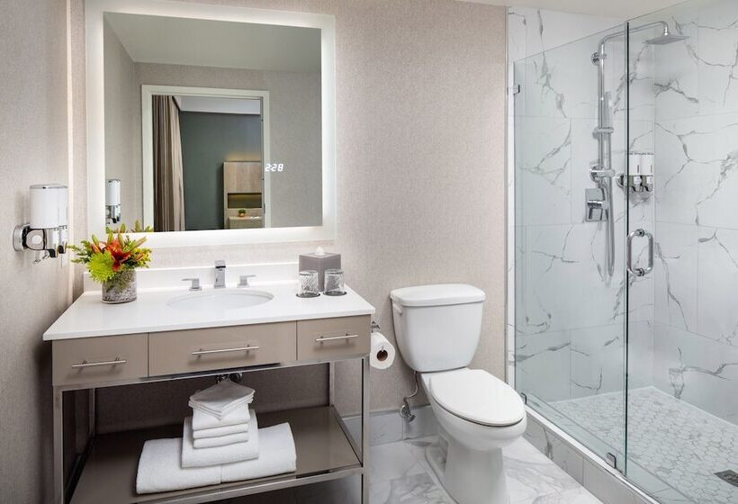 디럭스 스위트, The Delaney