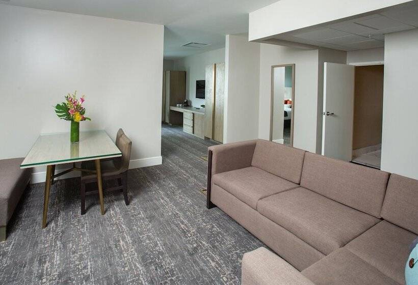 디럭스 스위트, The Delaney