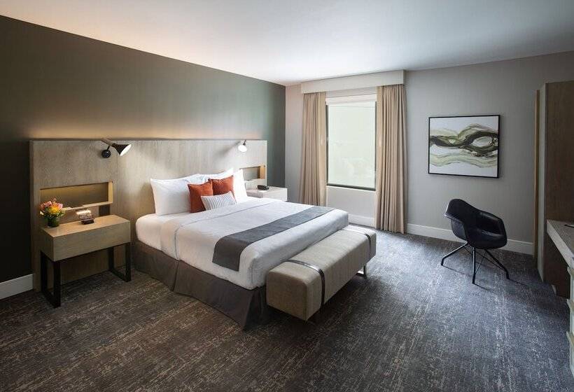 디럭스 스위트 킹 침대, The Delaney