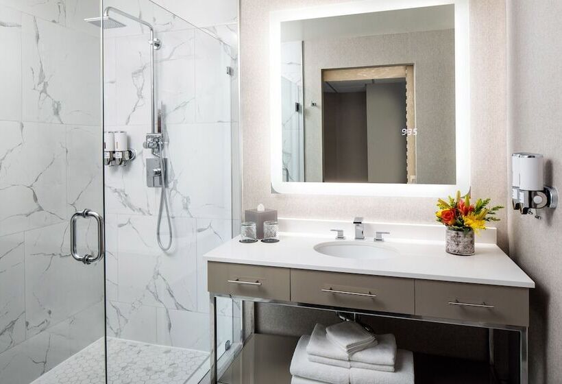 스탠다드 룸, The Delaney