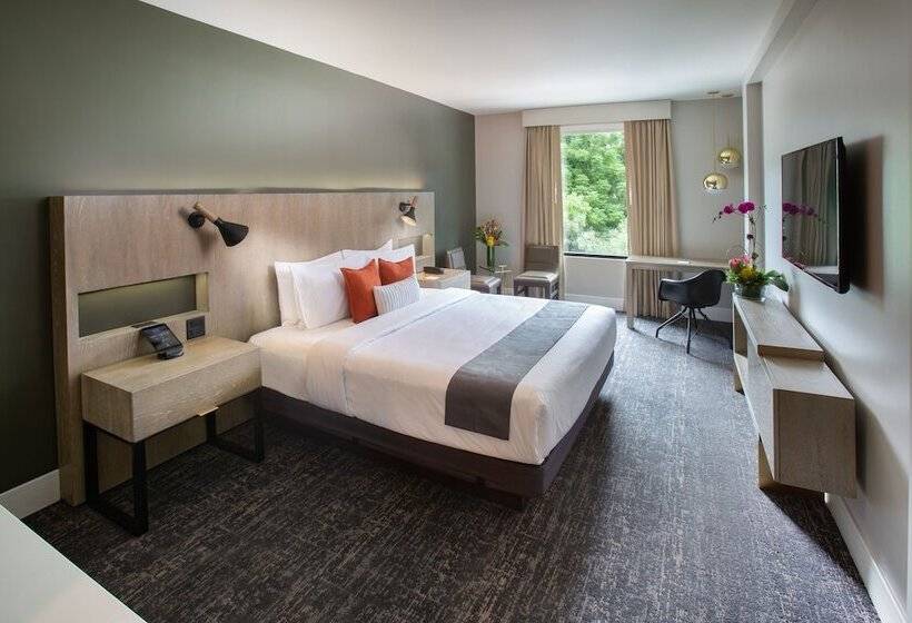 스탠다드 룸, The Delaney