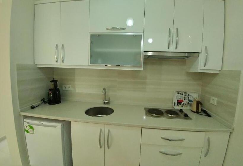 דירת חדר, Arti̇m Apart