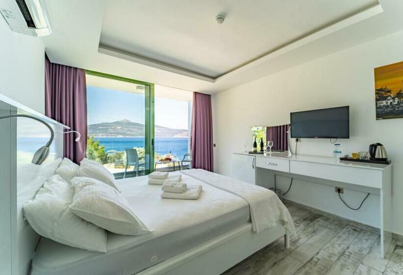 اتاق لوکس با چشم‌انداز دریا, Greenbeach