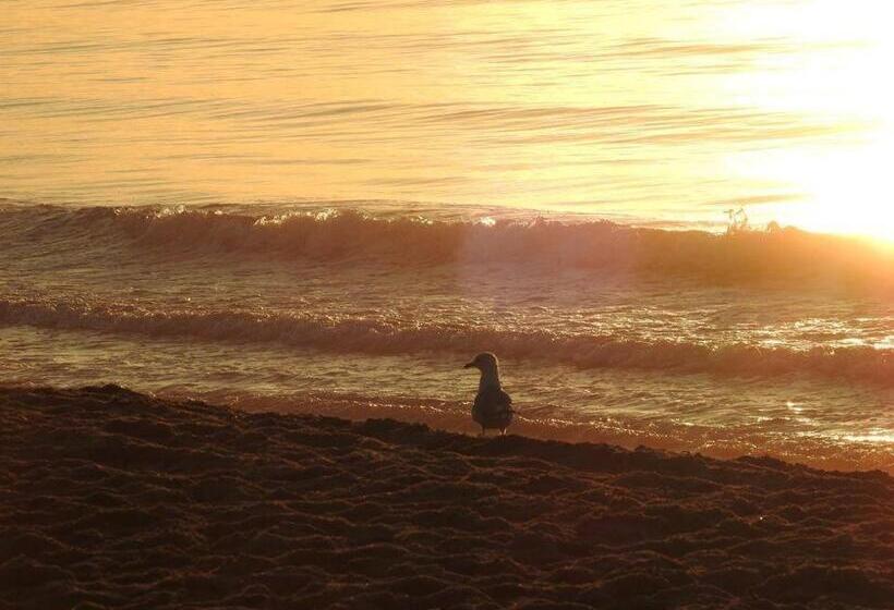 דירת שני חדרים, Atlantis Motel