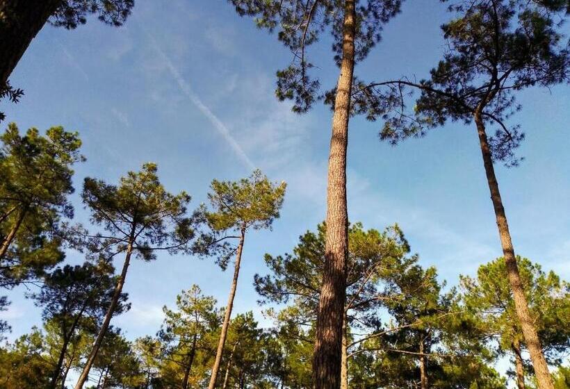 فيلا سوبيريور غرفة نوم واحدة, Airial Du Seignanx